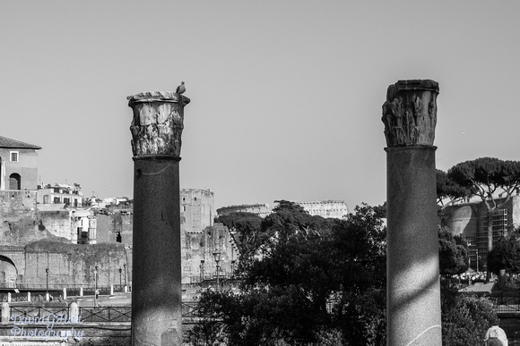 2015 - Rome - Italy - July - D100-12