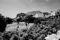 2015 - Capri - Italy - July - NP100-16