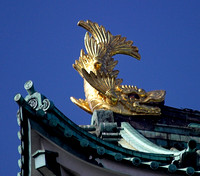 Gold Gragons on Nagoya Castle