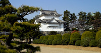 Nagoya Castle. Nagoyo