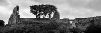 2019 - Barnard Castle & Surrounding area - Co Durham - England - June - Acros100 -  061