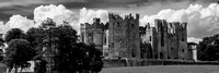 2019 - Barnard Castle & Surrounding area - Co Durham - England - June - Acros100 -  029