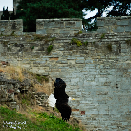 2013 - Warwick Castle - August - UK - KC25-264