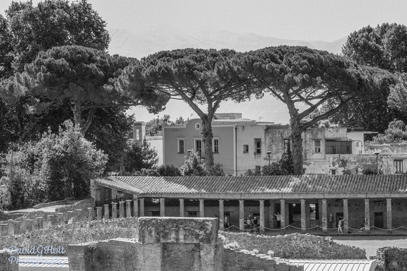 2015 - Pompeii - Italy - July - NP100-13