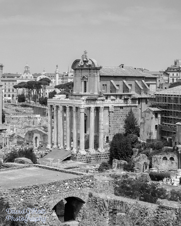 2015 - Rome - Italy - July - D100-42