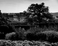 2013 - Chatsworth House - Peak District - Derbyshire UK - August NP100-32