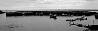 2011 - UK - Staithes North Yorkshire - Aug HP5 007
