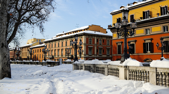 2012 - Bologna Italy - Feb - PRV 004