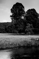 2013 - Chatsworth House - Peak District - Derbyshire UK - August NP100-33