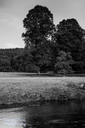 2013 - Chatsworth House - Peak District - Derbyshire UK - August NP100-33