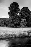 2013 - Chatsworth House - Peak District - Derbyshire UK - August K750-22
